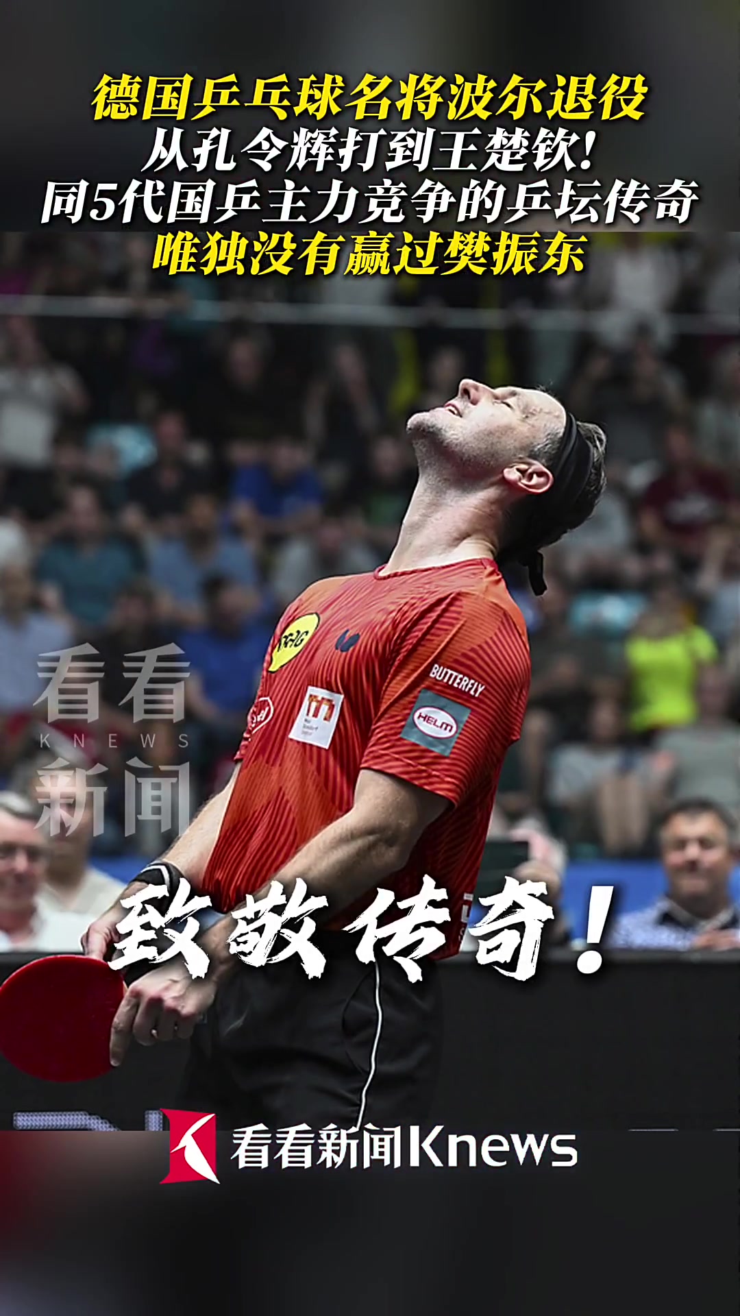 关于波兰乒乓球队爆冷日本乒乓球队,波尔一己之力扛起全队的信息 关于波兰乒乓球队爆冷日本乒乓球队,波尔一己之力扛起全队的信息